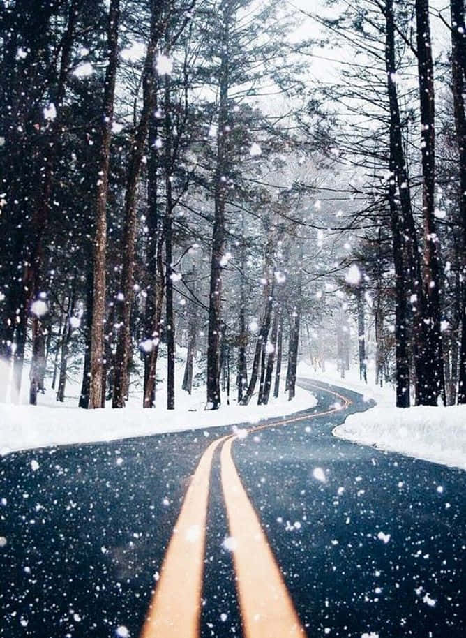 Winter Wonderland: A Snowy Path in the Forest Duvar Kağıdı