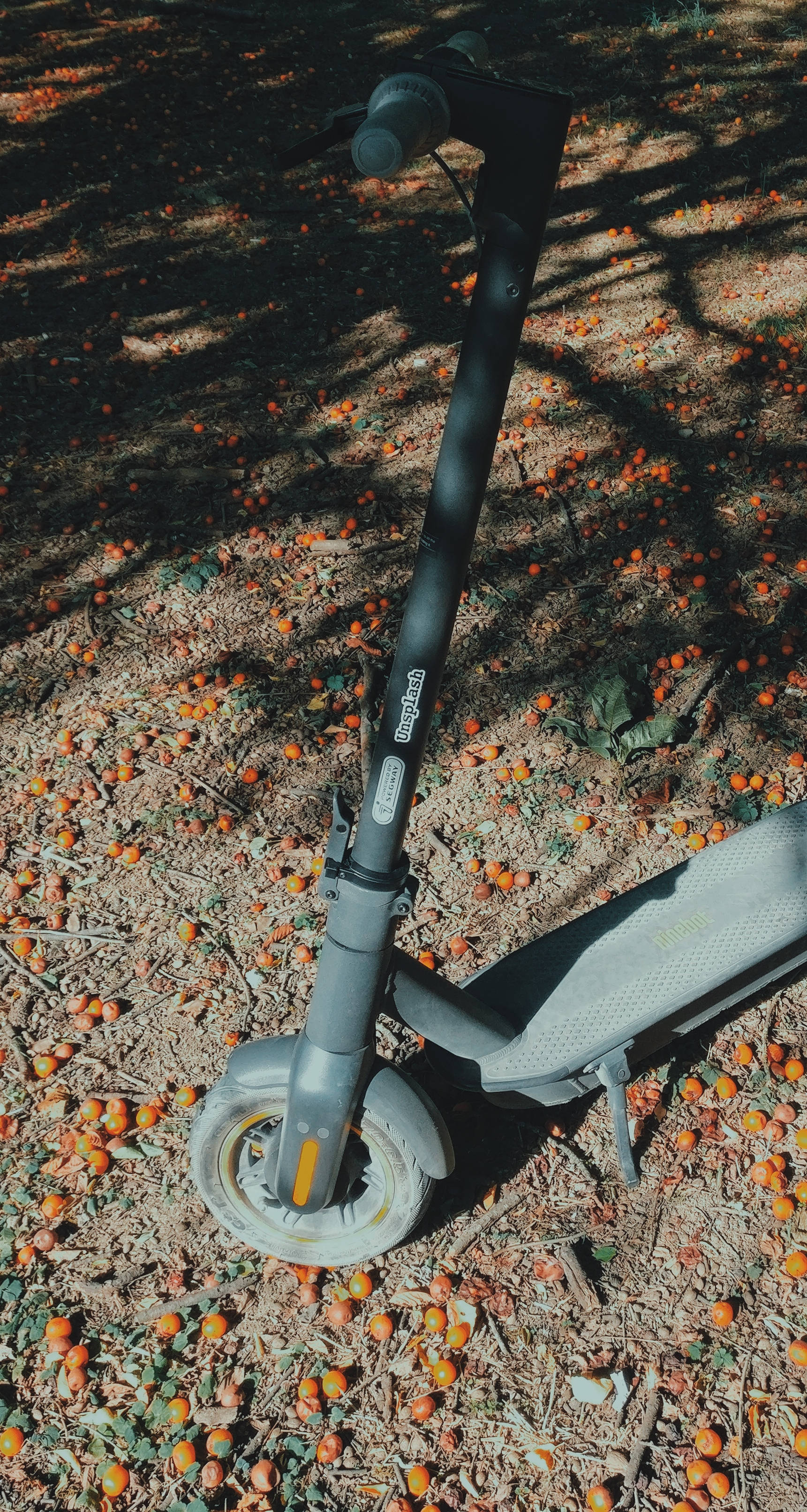 Xiaomi Scooter Bisiklet Duvar Kağıdı