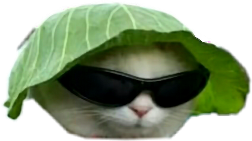 Yaprak Şapkalı ve Güneş Gözlüklü Havalı Kedi.PNG Duvar Kağıdı