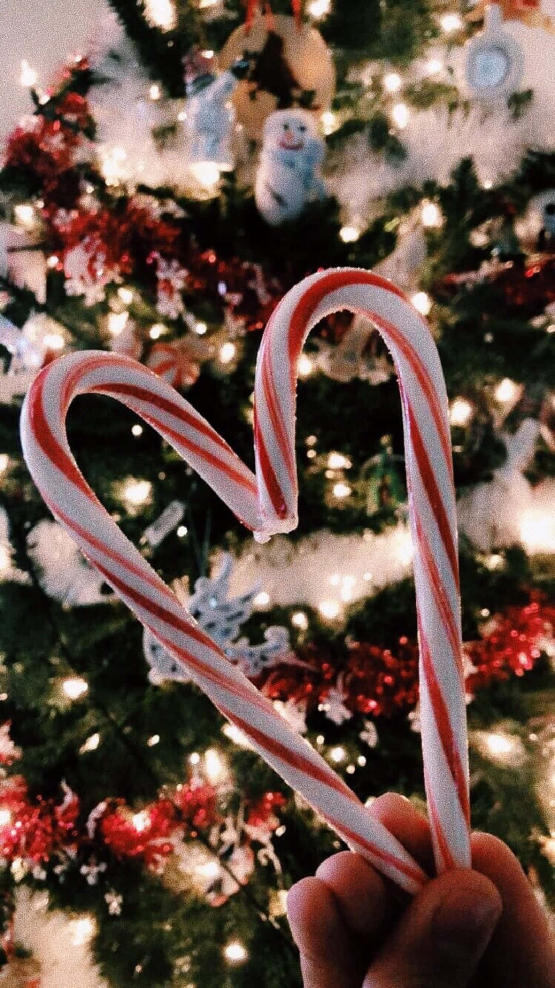 Yayılın biraz tatil neşesi ile bir Noel Estetiği! Duvar Kağıdı