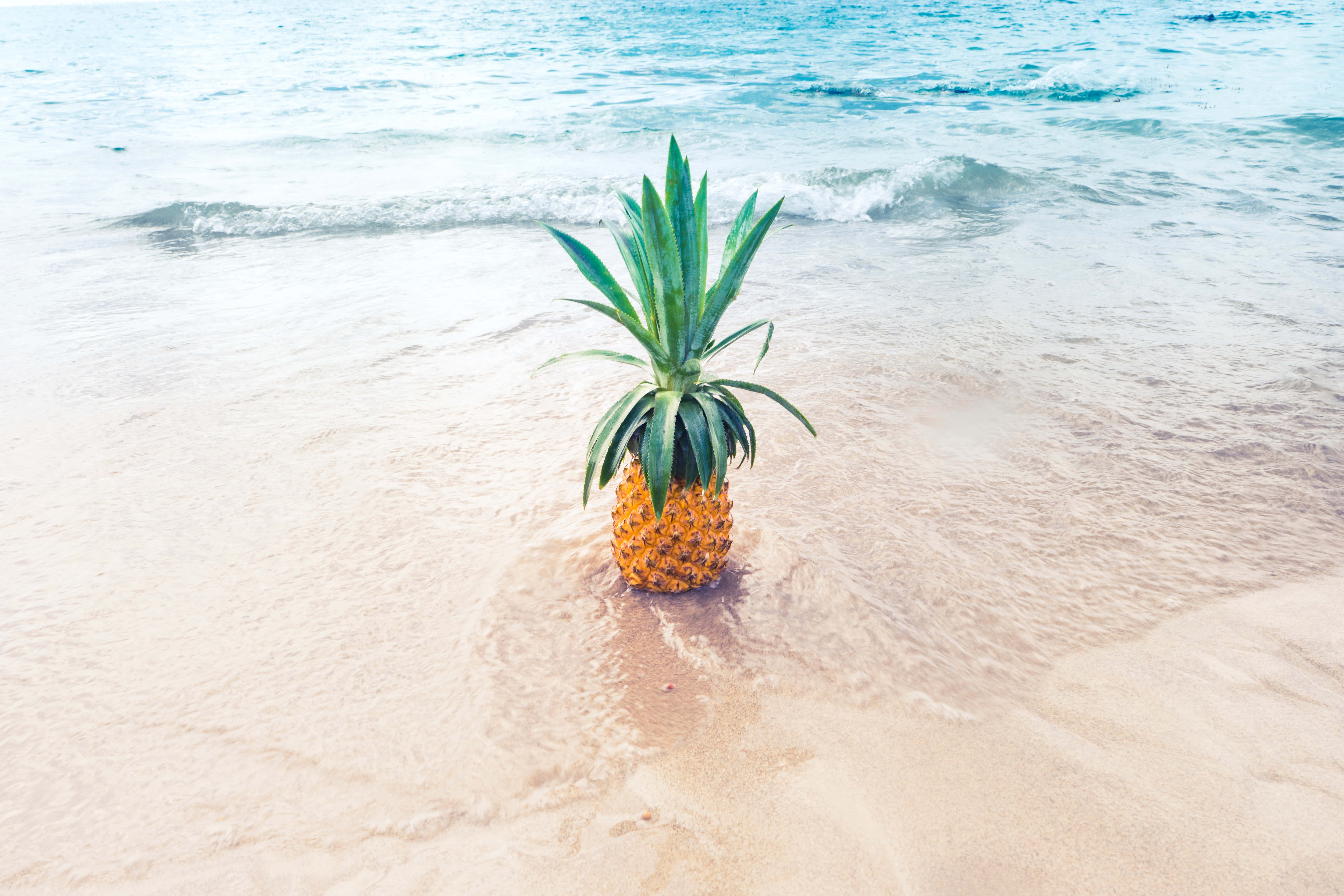 Yemyeşil yapraklar arasında tatlı ve ekşi bir ananas. Duvar Kağıdı