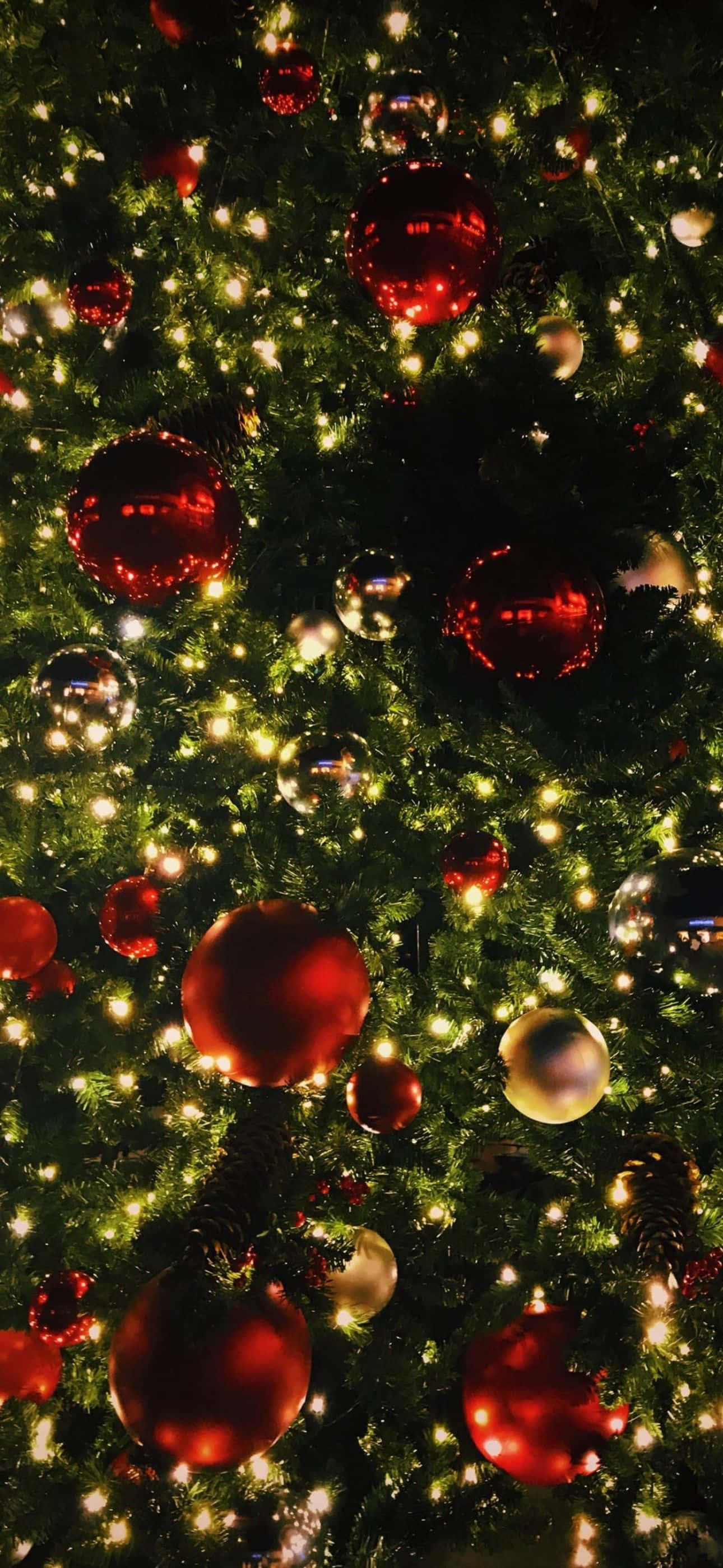 Yeni Apple iPhone ile Büyülü Bir Noel Geçirin Duvar Kağıdı