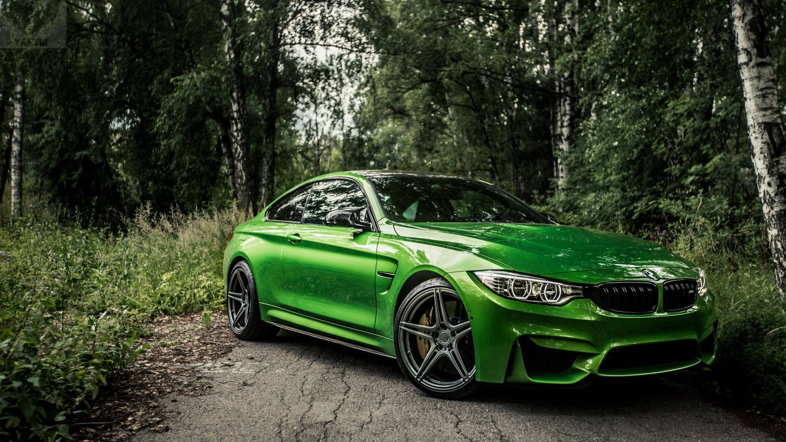 Yeşil BMW M4'ün Ormanda Kükreyişi Duvar Kağıdı