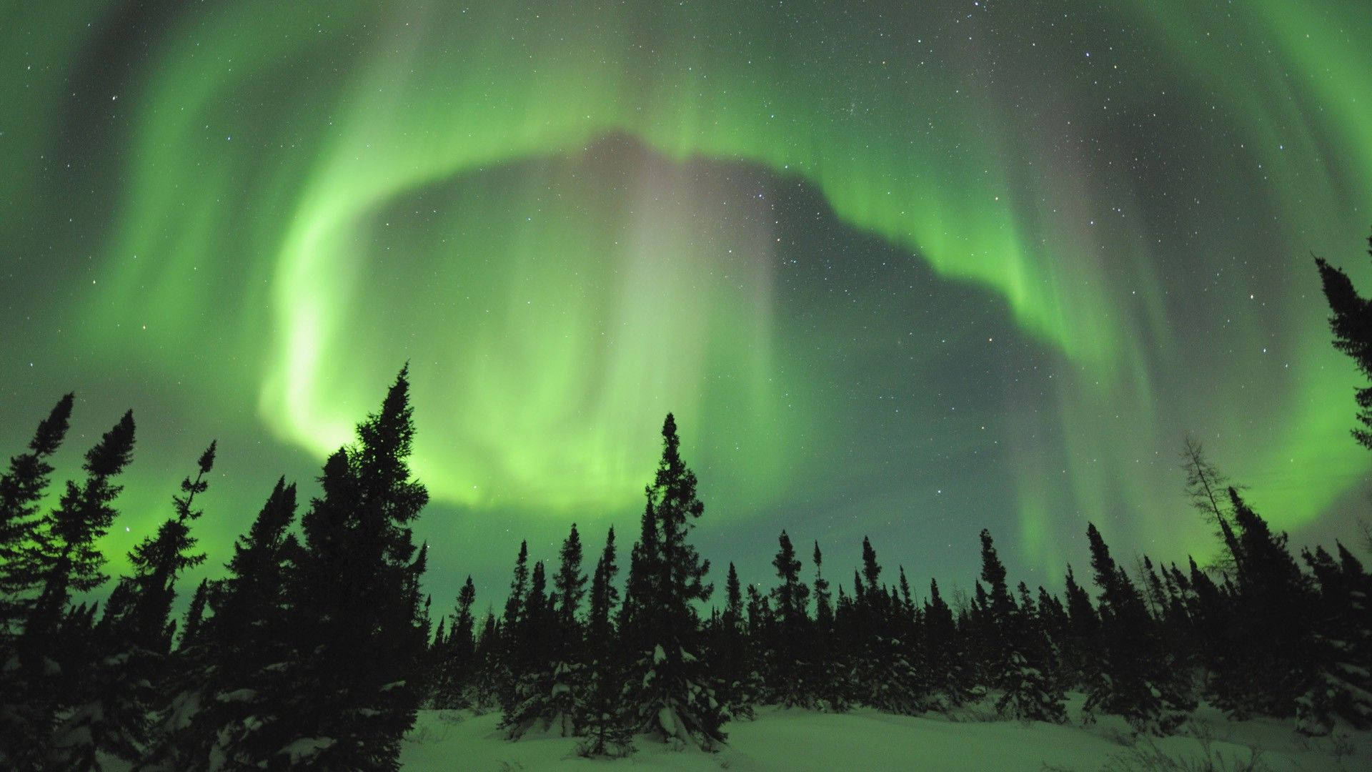 Yeşil Gökyüzünde Aurora Borealis Duvar Kağıdı
