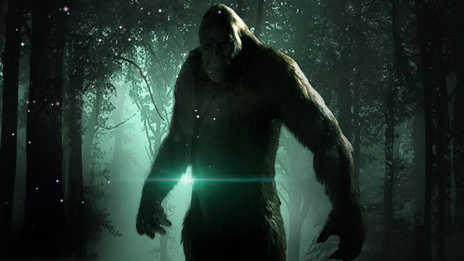 Yeşil Ormanda Gölgelerdeki Bigfoot Duvar Kağıdı