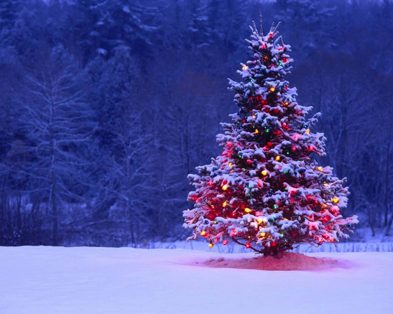 Yılın en güzel kış tatilini şenlikli bir Noel masaüstü ile yaşayın. Duvar Kağıdı