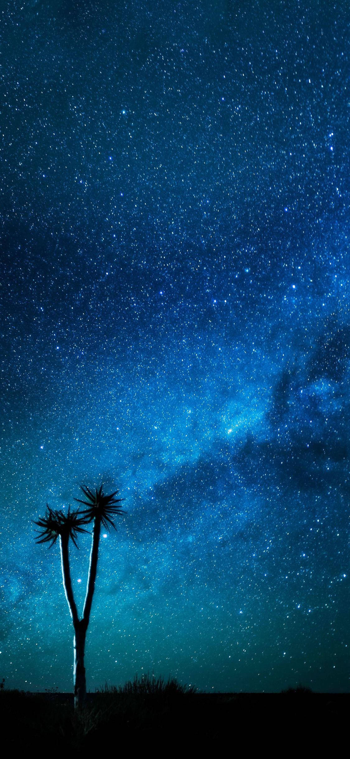 Yıldızlı Gece Mavisi iPhone Duvar Kağıdı