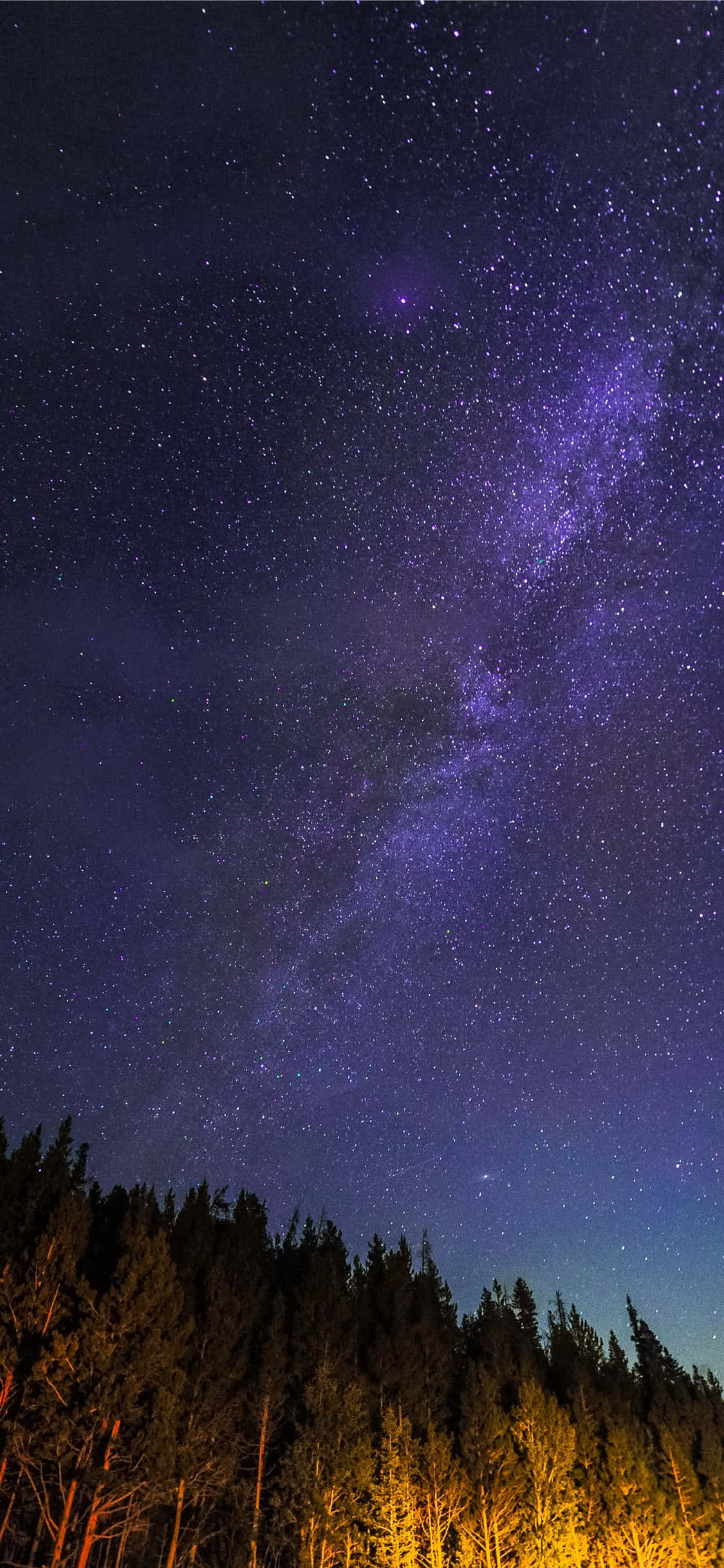 Yıldızlı_ Gece_ Ormanın_ Üzerinde.JPG Duvar Kağıdı