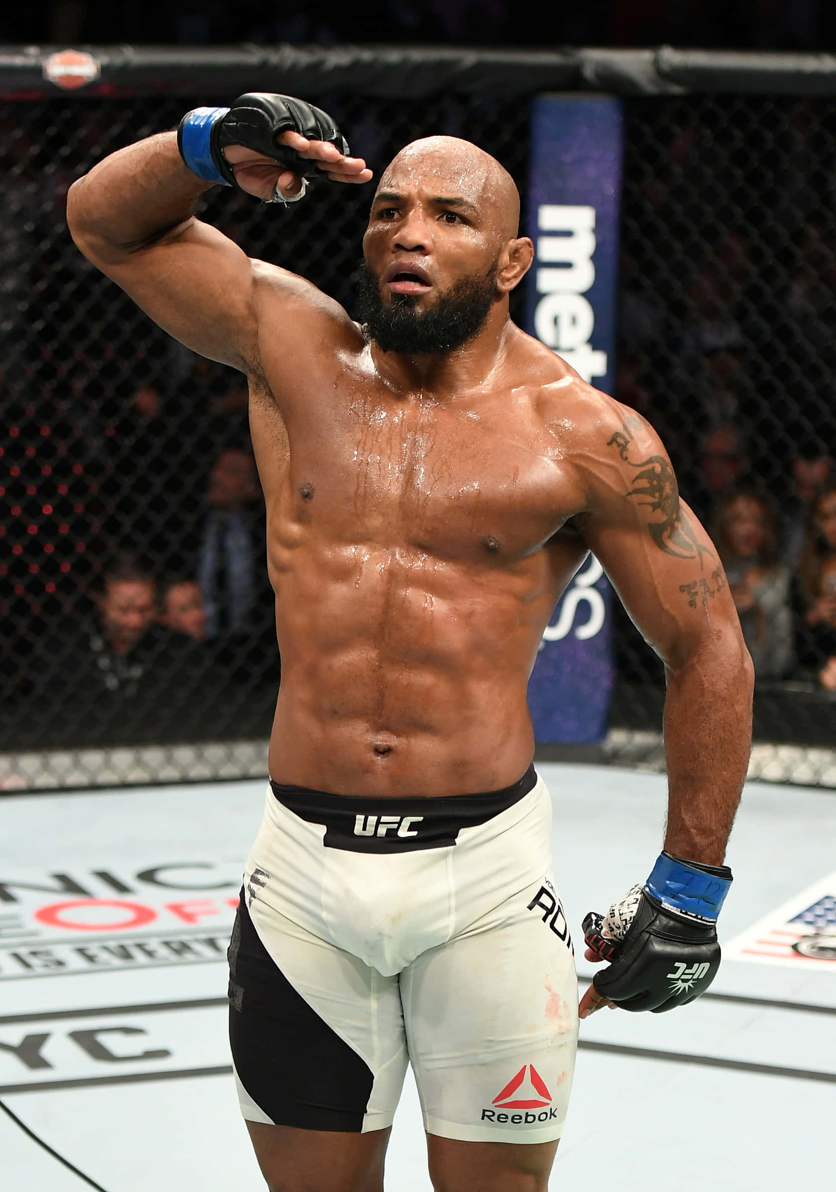 Yoel Romero UFC 205'te Selamlama Pozu Duvar Kağıdı