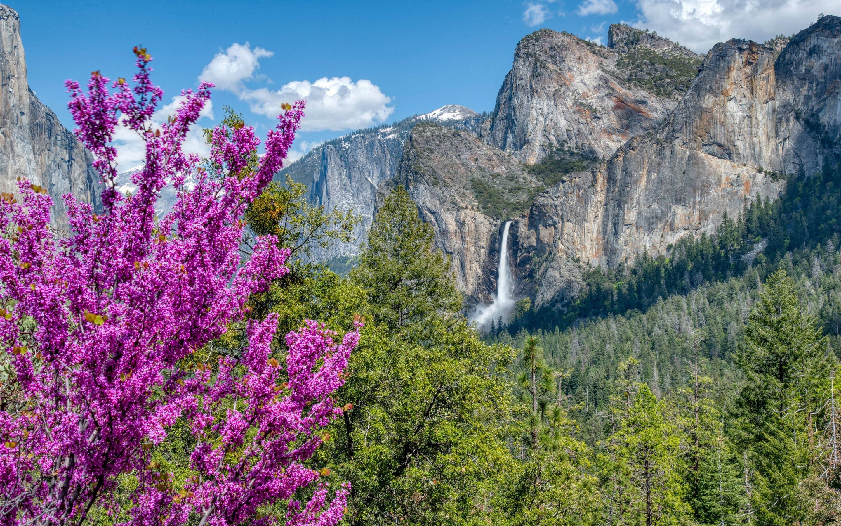 Yosemite'nin Büyüleyici Şelalesi Duvar Kağıdı