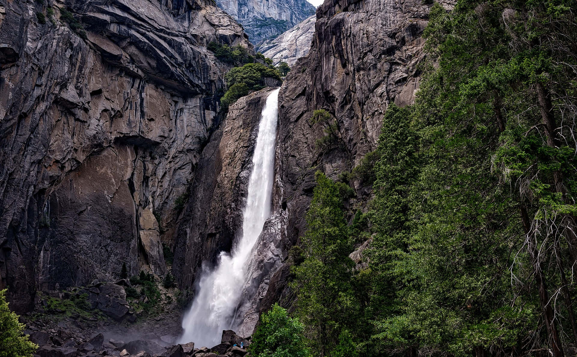 Yosemite Şelalesi'nin Orman İçindeki Güzel Manzarası Duvar Kağıdı