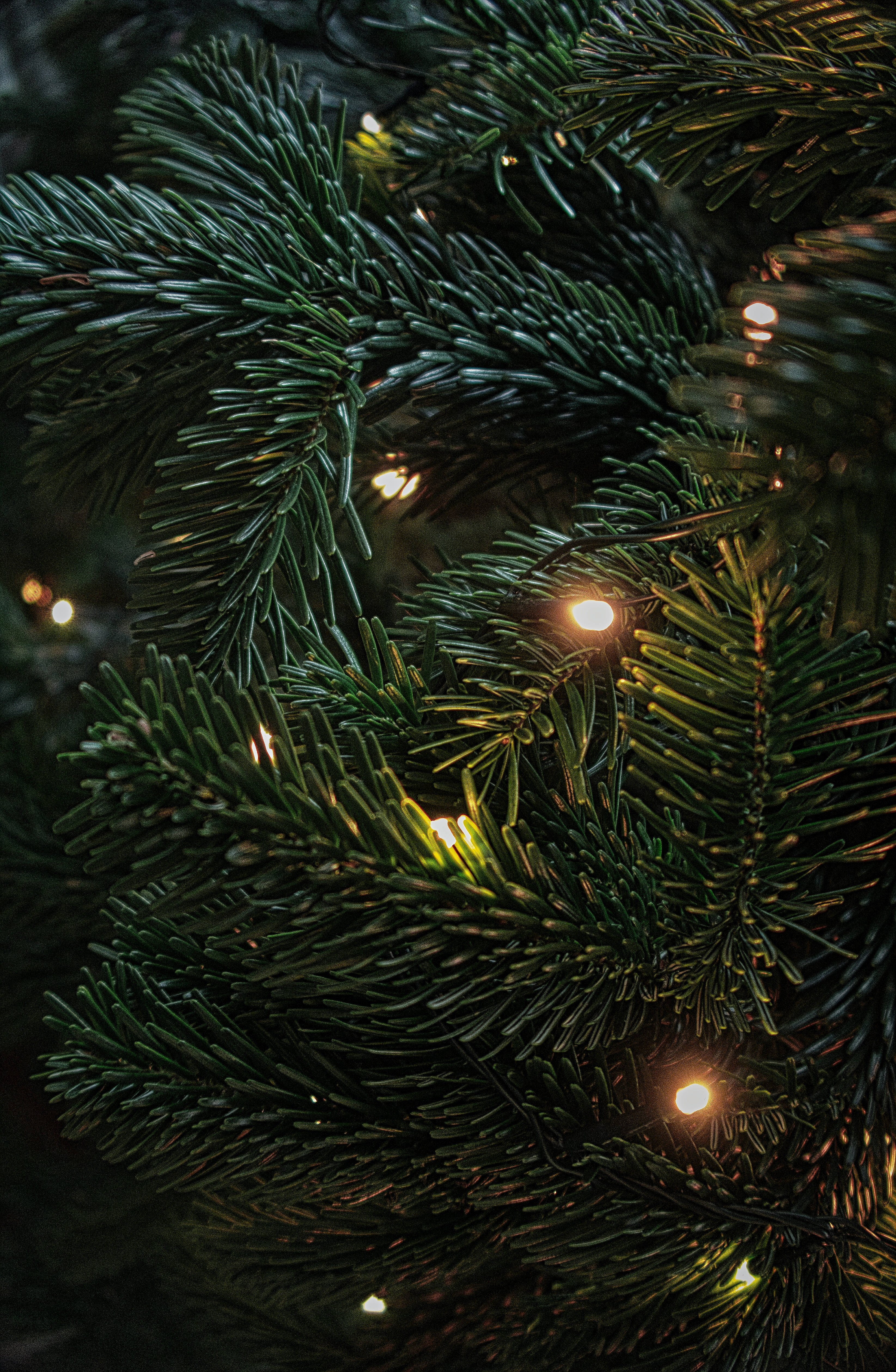 Yüksek Çözünürlüklü Noel Işıkları Duvar Kağıdı