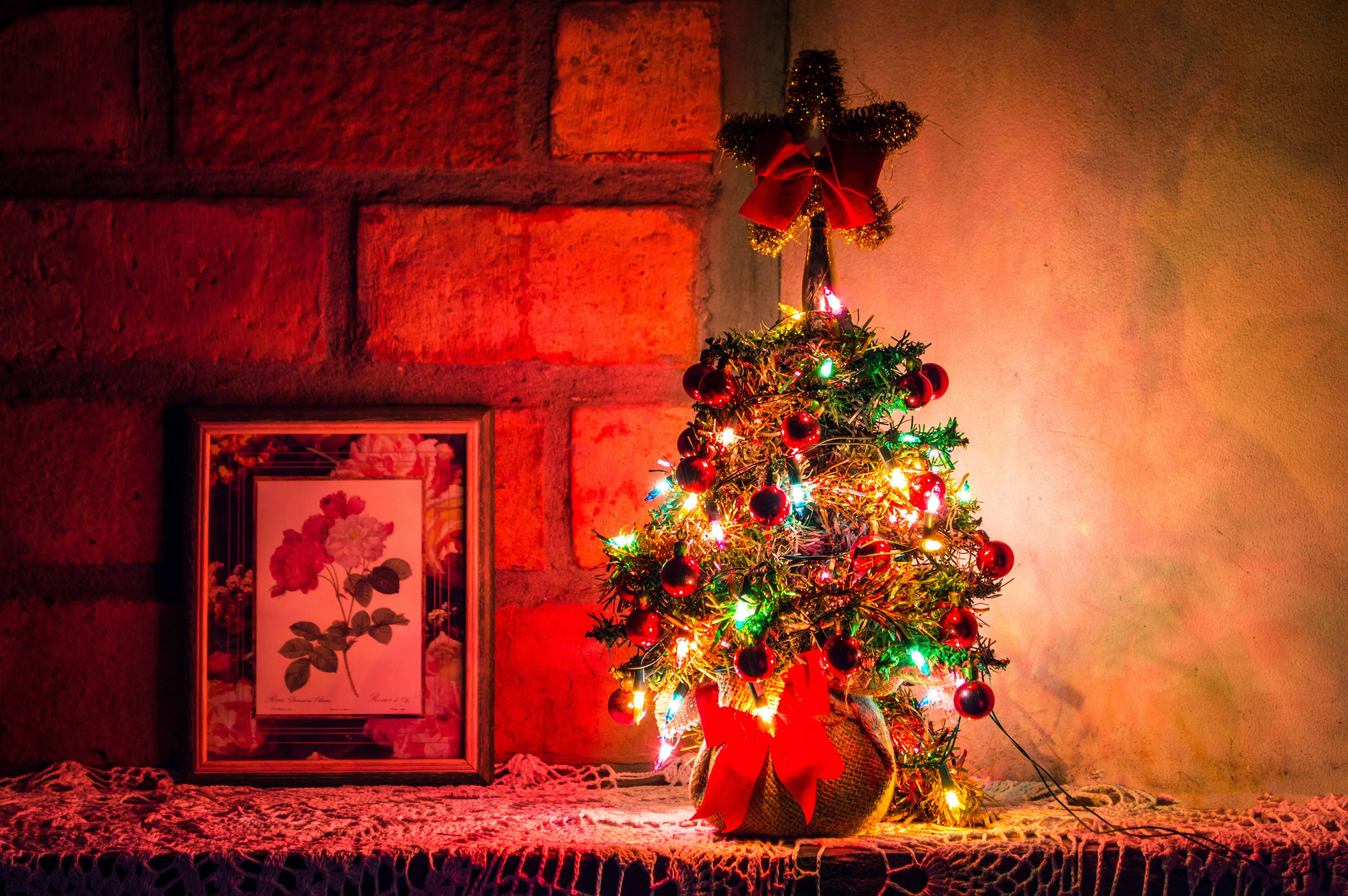 Yüksek Çözünürlüklü Noel Mini Ağacı Duvar Kağıdı