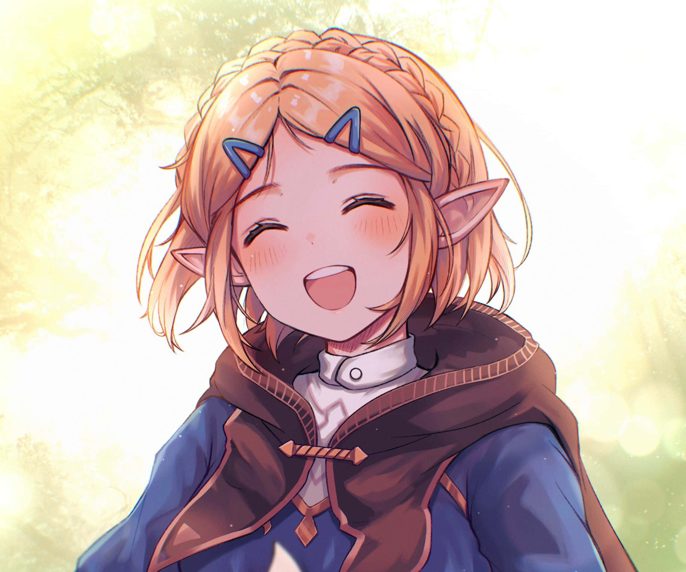 Zelda arka planı Duvar Kağıdı