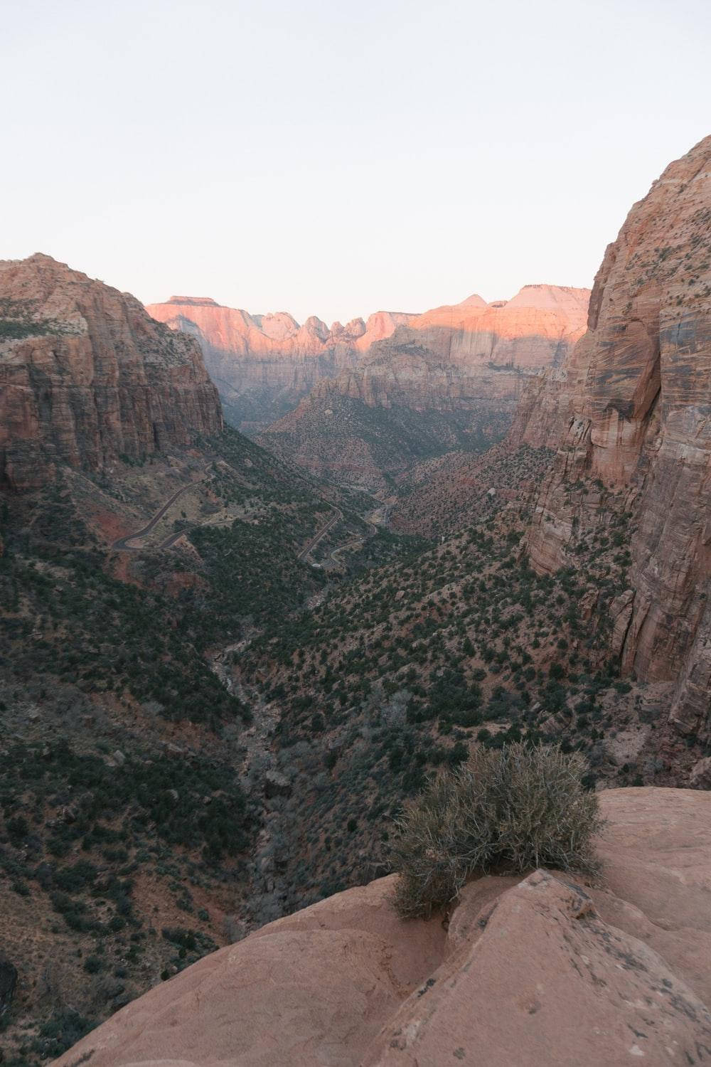 Zion Ulusal Parkı'ndaki Görkemli Arı Kovanı Kaya Oluşumları Duvar Kağıdı