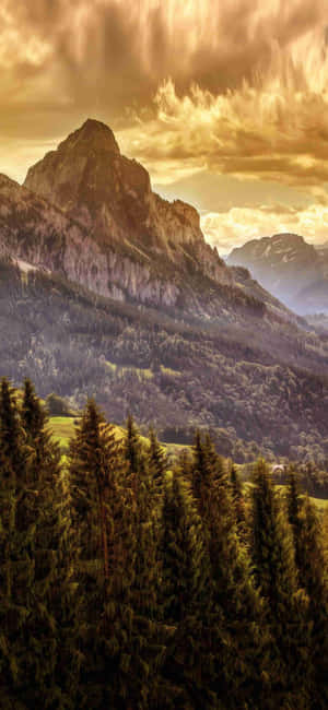 1080x2340 4k — Pixel 10 Pro Duvar Kağıdı