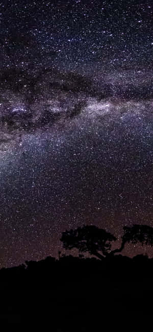 1080x2340 4k — Pixel 11 Pro Duvar Kağıdı