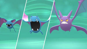 3D Zubat Evrim Çizgisi