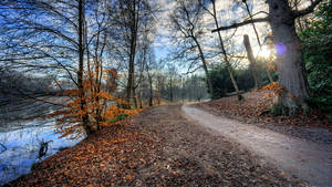 8k 7680x4320 Ultra Hd Çözünürlüklü Masaüstü Nehir Yolu