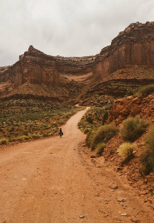 Ahşap Masada Çarpıcı iPhone 13