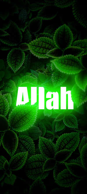 Allah arka plan — POCO C81x Duvar Kağıdı