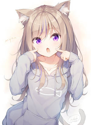Anime Kızı Kapüşonlu Kedi Kadın duvar kağıdı — Sevimli anime kızı Duvar Kağıdı