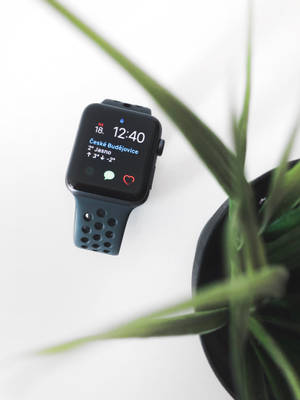 Apple Watch estetik açıdan hoş fotoğraf duvar kağıdı — Apple Watch Duvar Kağıdı