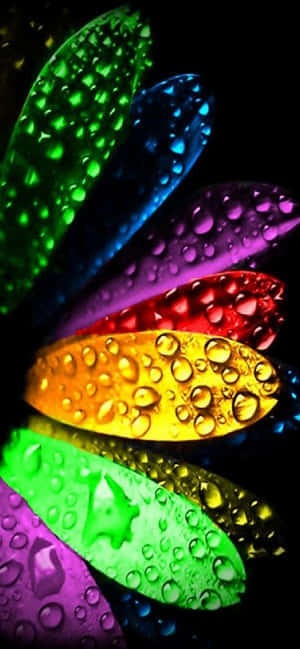 828x1792 — iPhone 13 Mini Duvar Kağıdı