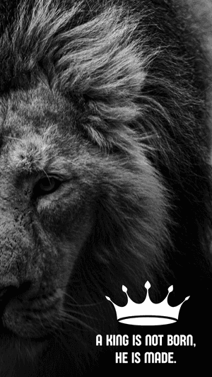 Aslan, Aslan Arkaplanı, 420 Arkaplanı, Kral, Kral Arkaplanı, Alıntı Arkaplanı, 2018 Arkaplanı, Cesur Arkaplanı, Cesur Resimler