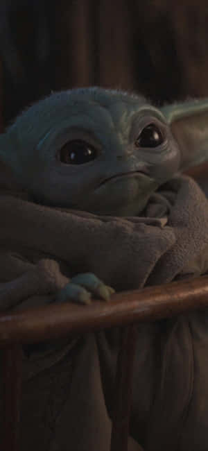 Baby Yoda Zoom Arka Planı — OnePlus Nord 6 Duvar Kağıdı