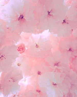 Pastel Pembe Estetik görseller
