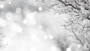 Beyaz Noel kış duvar kağıdı