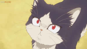 Bir Japon animesinden genç bir adamın evcil kedisiyle huzurlu bir an paylaştığı görüntü. — Sevimli kedi GIF Duvar Kağıdı