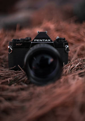 Bir kuş yuvası duvar kağıdı üzerinde siyah Pentax kamera fotoğrafı. — OnePlus Pad Duvar Kağıdı