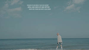 BTS Dizüstü Spring Day Şarkı Sözleri — Bts dizüstü Duvar Kağıdı
