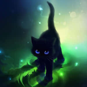 Siyah Kedi resimleri — Kara Kedi Duvar Kağıdı
