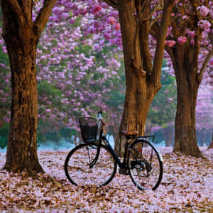 Estetik iPad arka planı — iPad Duvar Kağıdı