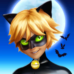 Cat Noir resimleri