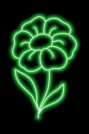 Canlı Neon Yeşil Estetik Arkaplan