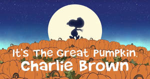Charlie Brown Cadılar Bayramı Balkabakları duvar kağıdı — Charlie brown cadılar bayramı Duvar Kağıdı