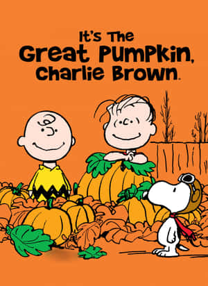 Charlie Brown Cadılar Bayramı resimleri — Charlie brown cadılar bayramı Duvar Kağıdı
