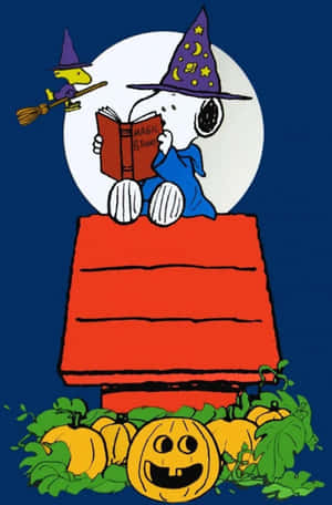 Charlie Brown Cadılar Bayramı resimleri — Cadılar bayramı estetiği Duvar Kağıdı