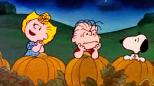 Charlie Brown Cadılar Bayramı resimleri — Charlie brown cadılar bayramı Duvar Kağıdı