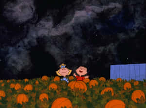 Charlie Brown Cadılar Bayramı resimleri — Charlie brown cadılar bayramı Duvar Kağıdı