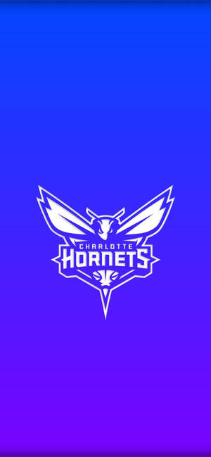 Charlotte Hornets Gradyan Mavi duvar kağıdı — iPhone 17 Duvar Kağıdı