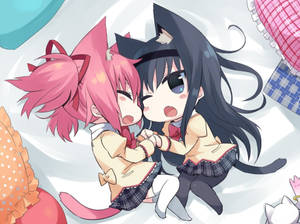 Chibi kedi anime lezbiyenler duvar kağıdı