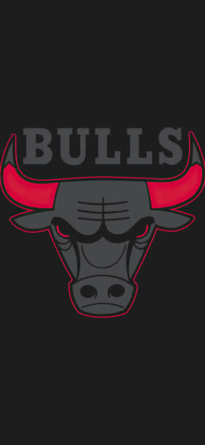Chicago Bulls iPhone — iPhone 17 Pro Max Duvar Kağıdı