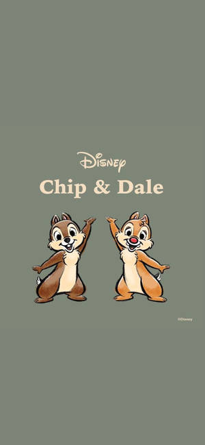 Chip N Dale Gri Arka Planda duvar kağıdı — Huawei Pura 80 Pro Duvar Kağıdı