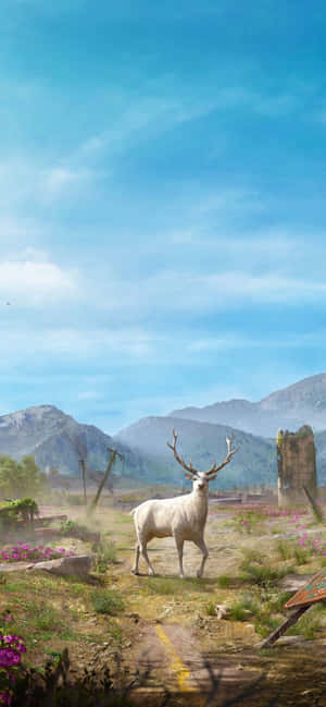 iPhone Xs Max Far Cry 5 Arka Plan — POCO C Duvar Kağıdı