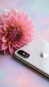 Pastel bir arka planda pembe bir çiçeğin yanında bir iPhone XR, romantik ve rüya gibi. — iPhone XR Duvar Kağıdı